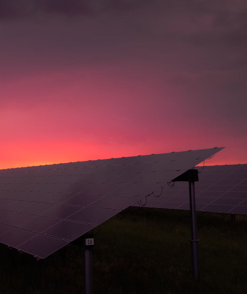 a solar farm at sunset