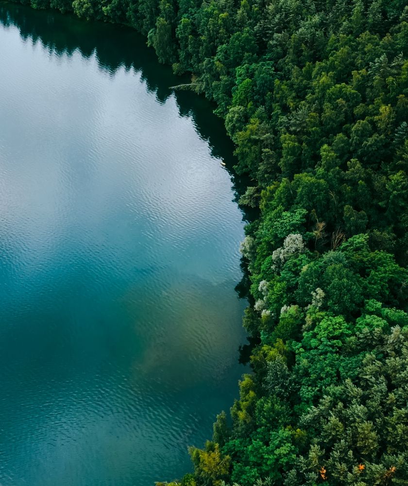 a lake bordered by a forest