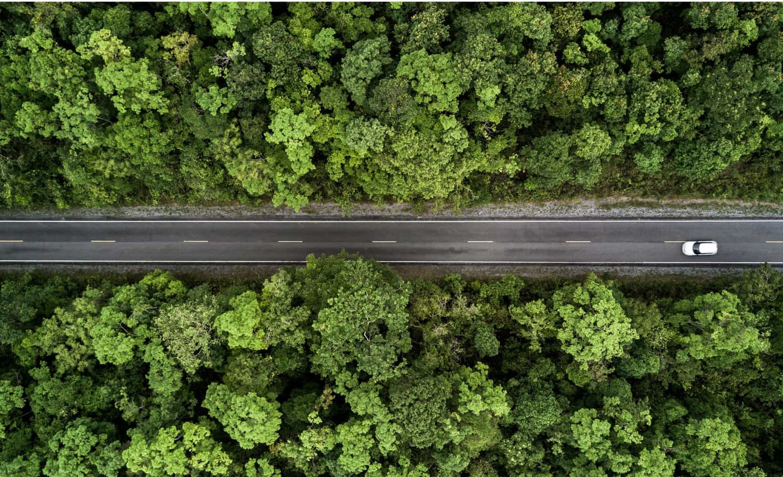 an overhead shot of a car driving on a straight road through a forest