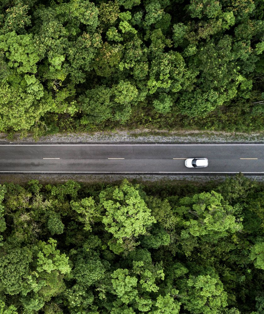 a car driving along a road surrounded by forest